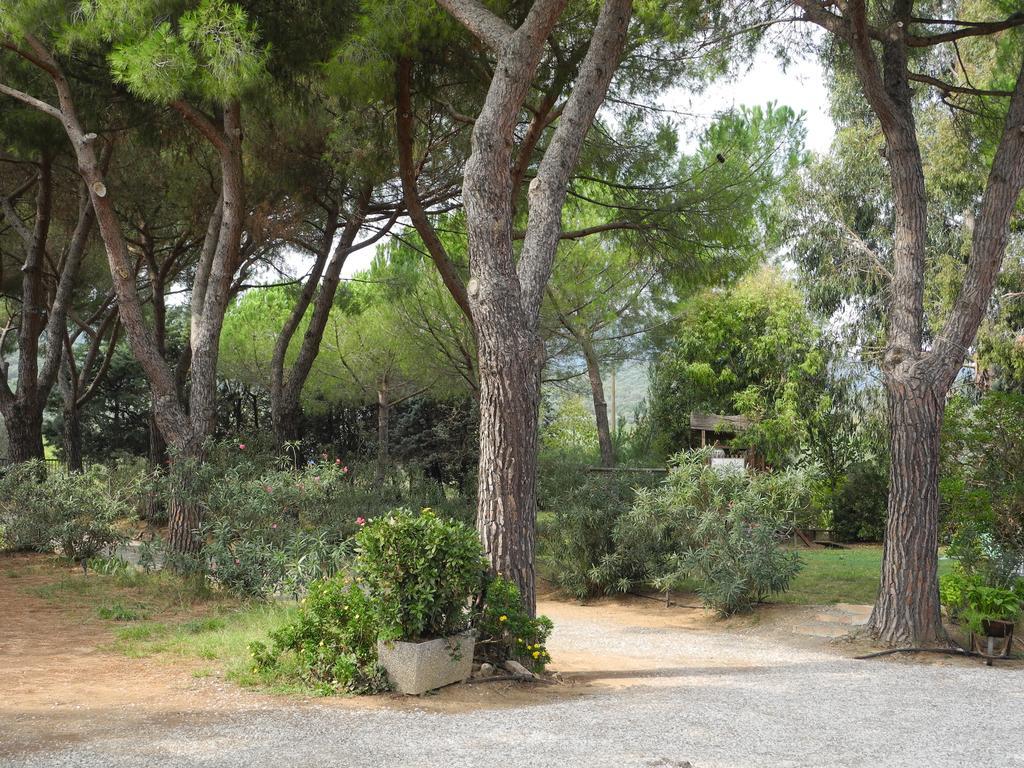 Podere Oslavia Az.Agr.Bio Giannini Альберезе Екстер'єр фото