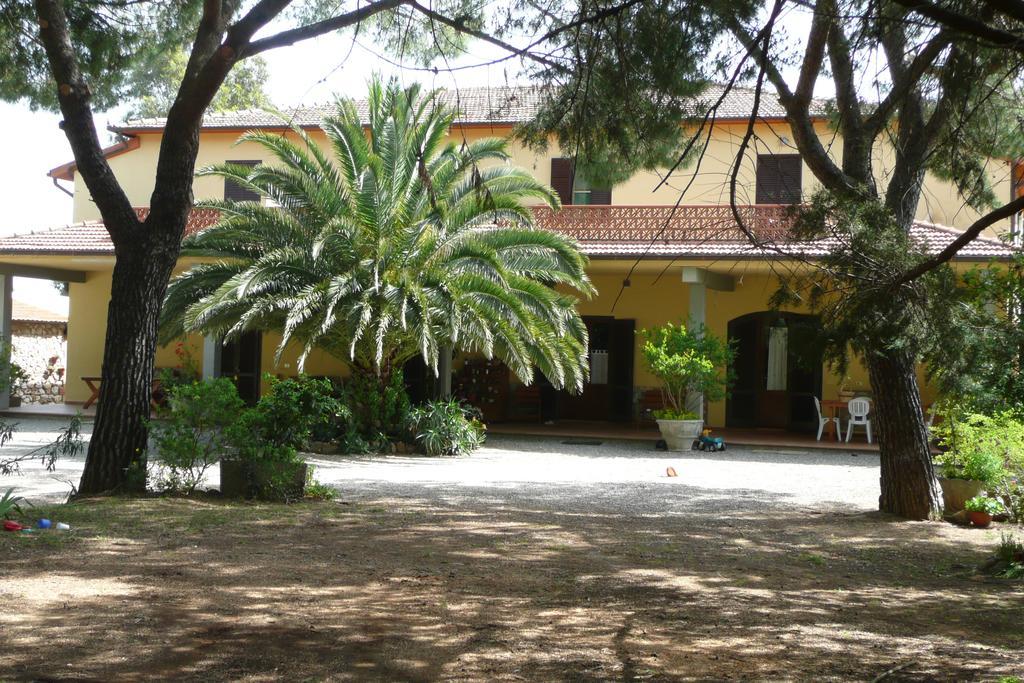 Podere Oslavia Az.Agr.Bio Giannini Альберезе Екстер'єр фото